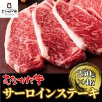 ふるさと納税 宗像市 むなかた牛サーロインステーキ 1kg(250g×4枚)【すすき牧場】_HA1262