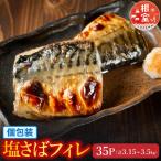塩さばフィレ1枚×35P B-09032