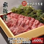 飛騨牛赤身焼肉セット 計600g