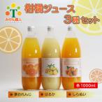 柑橘 みかん ジュース 夢おれんじ はるか 不知火