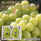 シャインマスカット 大房 2房 約1.5kg