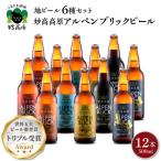 ふるさと納税 妙高市 妙高高原アルペンブリックビール6種ギフトセット(500ml×12本)