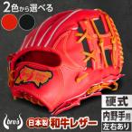 硬式 内野手 2色から 野球 グローブ