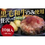 ふるさと納税 山口市 黒毛和牛100%ハンバーグ10個入り D085