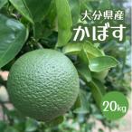 久井田農園のかぼす 20kg