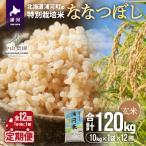 特別栽培米 ななつぼし 玄米10kg×1袋定期便