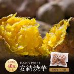 AS-320 安納芋の天然スイーツ 焼き芋 2kg