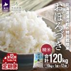 の特別栽培米 おぼろづき 精米10kg×1袋定期便