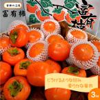 富有柿 ふゆうかき 3kg