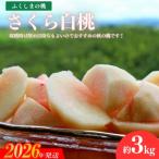 ふるさと納税 福島市 福島の桃「さくら白桃」約3kg【2026年発送 先行受付】No.2640