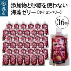 添加物と砂糖をつかわない海藻ゼリー ボイセンベリー 36個