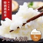 特別栽培米 きぬむすめ 5kg×1袋
