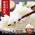 特別栽培米 きぬむすめ 10kg×1袋