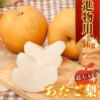ふるさと納税 八頭町 【2025年発送分】あたご梨 3kg