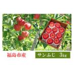 ふるさと納税 福島市 共同有限会社 りんご「サンふじ」約3kg【2025年度発送】 No.2357