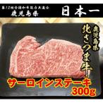 BS-305 北さつま牛 サーロインステーキ 300g