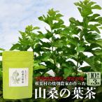 焼畑農家がつくった山桑の葉茶 スティックタイプ