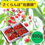ふるさと納税 上山市 さくらんぼ(佐藤錦)800g ご家庭用 0055-2501