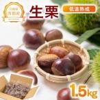 低温熟成栗 生栗 1.5kg