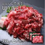 おおいた豊後牛おまかせ切り落とし 335g×2P