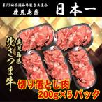 AS-2034 北さつま牛 切り落とし 合計1kg