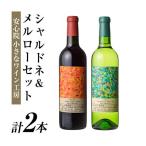 ふるさと納税 宇佐市 安心院*小さなワイン工房ワイン メルロー、シャルドネセット 【100803101】【百笑一喜】