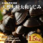 厳選 網走湖産大粒天然大和しじみ1.5kg