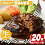 おおいた豊後牛生ハンバーグ3.2kg 160g×20個