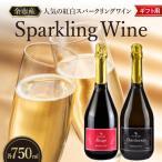 の紅白 スパークリング ワイン セット 各750ml