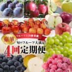 豪華 旬のフルーツ4回発送コース_Y074-0016