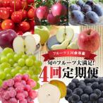 旬のフルーツ満足の4回発送コース_Y074-0015