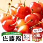 ふるさと納税 余市町 【先行受付】令和7年産佐藤錦【L〜2Lバラ詰め】200g×4【ニトリ観光果樹園】_Y074-0111