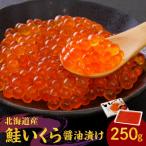 朝獲れ秋鮭 いくら醤油漬け 250g_Y006-0009