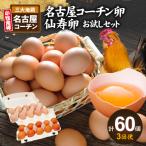 名古屋コーチン卵 仙寿卵お試しセット 各10個入り×3回