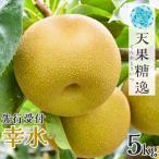 ショッピングふるさと納税 梨 ふるさと納税 三条市 先行受付 和梨 幸水 特秀品 約5kg 糖度13度以上を厳選 令和8年度 【013S061】