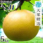 ショッピングふるさと納税 梨 ふるさと納税 三条市 先行受付 和梨 あきづき 特秀品 約5kg 糖度13度以上を厳選 令和8年度 【013S063】