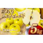 信州のりんご シナノゴールド 訳あり 5キロ