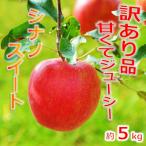 りんご シナノゴールド 令和8年 信州のシナノゴールド