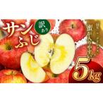 信州のりんご サンふじ 訳あり 5キロ