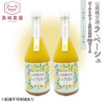 桃のお酒 ラ ペーシュ 黄金桃 500ml×2本 セット