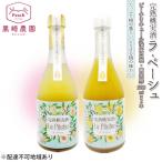 桃のお酒 ラ ペーシュ 清水白桃 500ml×2本