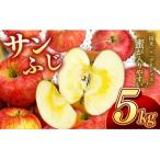 信州のりんご サンふじ 5キロ