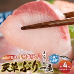 S042-003A_天草 ぶりまるごと