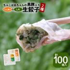 ちゃこばあちゃんの黒豚入りうんまか しそ生餃子 計100個入…