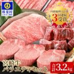 牛肉 スネ 受賞歴多数 宮崎牛 お楽しみバラエティセット 合…
