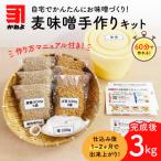 かねよ みそ しょうゆ 麦味噌手作りキット 3kg
