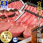 ふるさと納税 椎葉村  【定期便 6回】受賞歴多数!! ≪宮崎牛≫月に一度のお楽しみ定期便【総重量4.75Kg】MT-51
