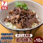 かごしま黒豚炙り焼きセット K045-003