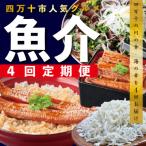 ショッピングふるさと納税 定期便 ふるさと納税 四万十市 【4ヵ月連続定期便】四万十市人気魚介返礼品を集めた定期便 R6