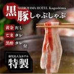 SHIROYAMA HOTEL kagoshima